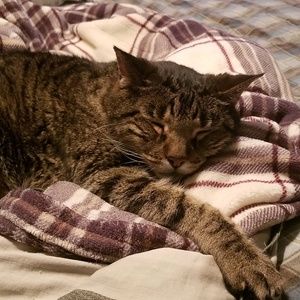 Meet your Posher, Ali